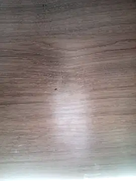 ValeriaLove43211 online show from March 13, 6:29 am