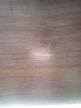 ValeriaLove43211 online show from March 31, 7:21 am