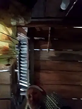 callistra online show from April 9, 4:36 am