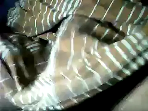 DailyRoadma online show from October 1, 1:15 pm