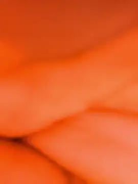 sassyishhu76 online show from January 14, 2:42 pm