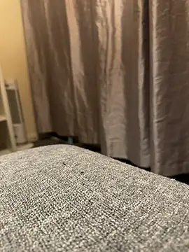 Snapshot of queenwetness chatting on September 17, 6:54 pm queenwetness online show from September 17, 6:54 pm