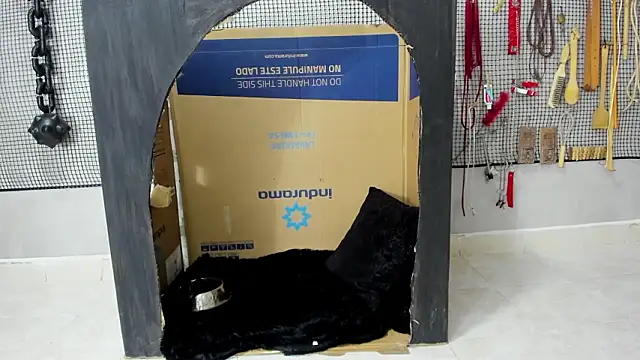 BDSM MEDUZA online show from February 5, 11:28 am