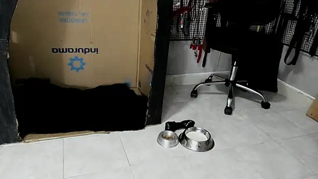 BDSM MEDUZA online show from February 23, 3:30 am