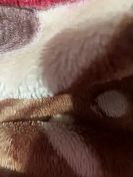 Snapshot of satisfyursoul chatting on November 26, 5:02 pm satisfyursoul online show from November 26, 5:02 pm