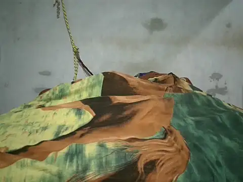 Snapshot of Alcee490 chatting on October 23, 3:16 am Alcee490 online show from October 23, 3:16 am