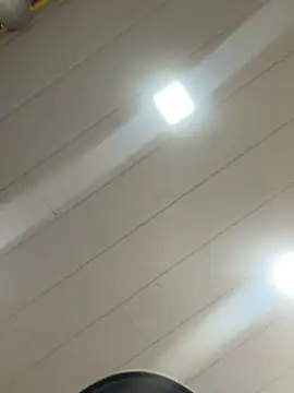 Noamilk online show from February 13, 8:31 pm