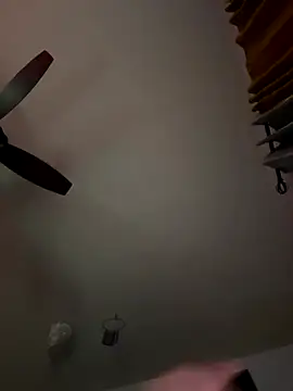 LeeDank online show from November 23, 7:29 am