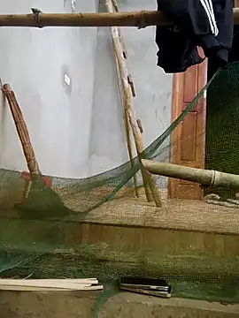 phuongxinhxan online show from March 21, 1:18 am