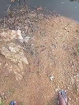 AgitatedStrip9 online show from March 19, 2:33 am