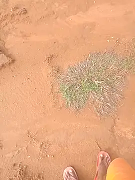 Snapshot of AgitatedStrip9 chatting on September 22, 2:28 am AgitatedStrip9 online show from September 22, 2:28 am