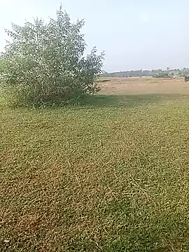 Snapshot of AgitatedStrip9 chatting on October 1, 2:17 am AgitatedStrip9 online show from October 1, 2:17 am