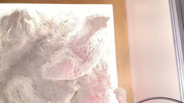 Stellaciel  online show from February 28, 11:04 pm