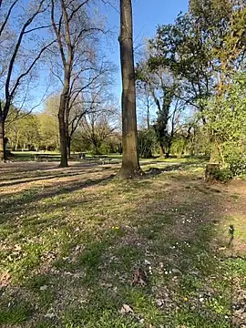 fioralba online show from March 27, 4:08 pm