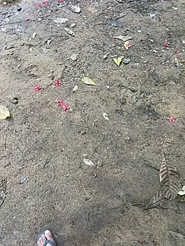 Gihan sil1088 online show from October 31, 10:12 am