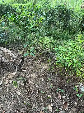 Gihan sil1088 online show from September 20, 8:52 am