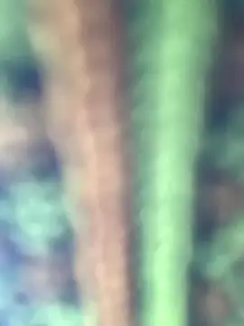 Halyy xx online show from January 8, 6:52 am