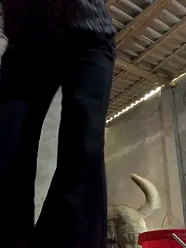 Halyy xx online show from October 30, 4:55 am