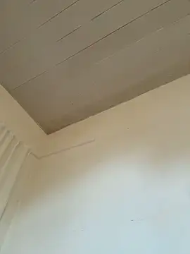 AZ37866 online show from March 17, 3:20 am