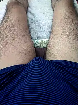 Mizo200 online show from November 3, 10:30 am