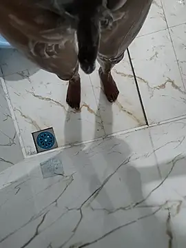 DICKLANKA online show from January 18, 3:04 pm