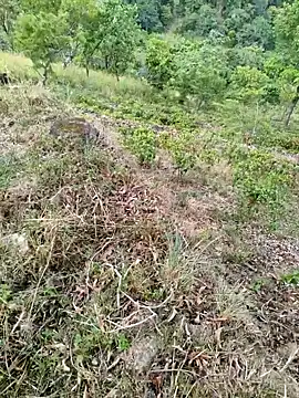 DICKLANKA online show from September 23, 8:32 am