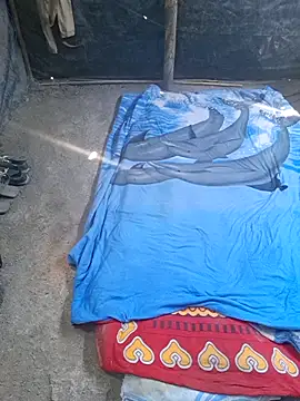 Snapshot of TNestorT chatting on November 26, 3:12 pm TNestorT online show from November 26, 3:12 pm