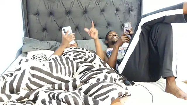 Dandelion enigman online show from January 15, 11:13 am