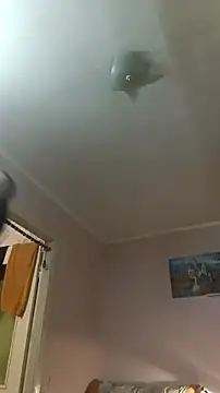 Snapshot of Adidas7217 chatting on January 10, 2:51 am Adidas7217 online show from January 10, 2:51 am