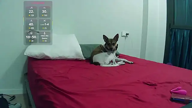 Snapshot of Catylandi1 chatting on November 14, 10:35 pm Catylandi1 online show from November 14, 10:35 pm