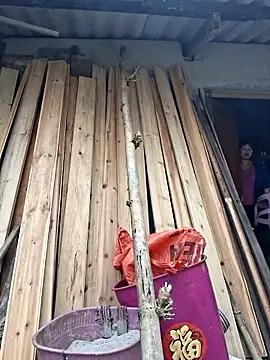 diamond-- online show from December 14, 12:39 am