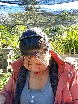 diamond-- online show from November 29, 6:46 am