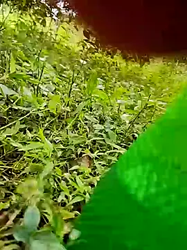 telugumodda4396 online show from October 24, 7:51 am