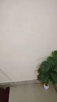 hotestfantasy online show from April 8, 10:28 am