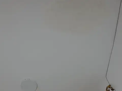 Alice pussyhairy online show from October 2, 10:40 am