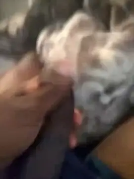 Blackveins32 online show from November 4, 9:46 am