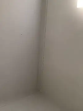 Fun size86 online show from October 4, 4:41 pm