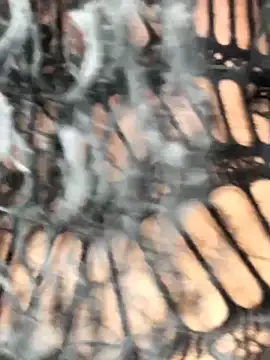 Fun size86 online show from December 20, 5:27 pm