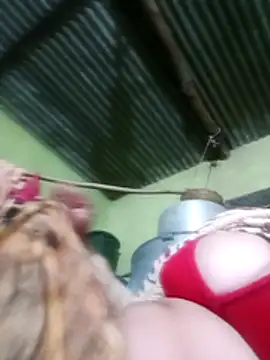 Haliya88 online show from December 19, 3:14 pm