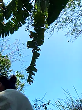 Snapshot of dorothyxx chatting on December 1, 3:51 am dorothyxx online show from December 1, 3:51 am