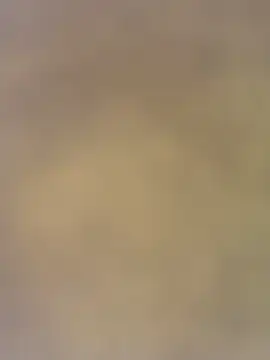 Snapshot of charlotteemerson123 chatting on November 29, 3:12 pm charlotteemerson123 online show from November 29, 3:12 pm