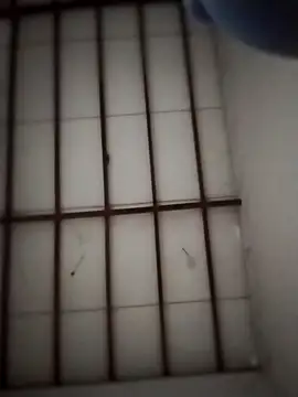 Yakpatiya7788 online show from March 20, 5:03 pm