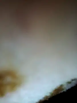 Snapshot of alone_boy802 chatting on November 24, 9:04 pm alone boy802 online show from November 24, 9:04 pm