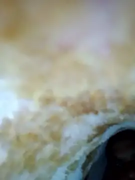 Snapshot of alone_boy802 chatting on October 30, 6:23 am alone boy802 online show from October 30, 6:23 am