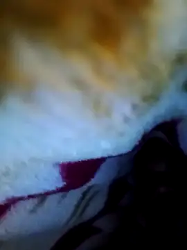 Snapshot of alone_boy802 chatting on October 1, 6:01 pm alone boy802 online show from October 1, 6:01 pm