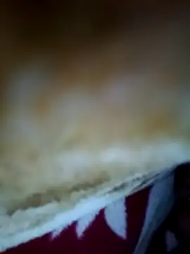 Snapshot of alone_boy802 chatting on November 6, 4:22 pm alone boy802 online show from November 6, 4:22 pm