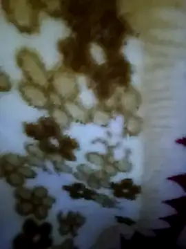 Snapshot of alone_boy802 chatting on November 2, 8:19 am alone boy802 online show from November 2, 8:19 am