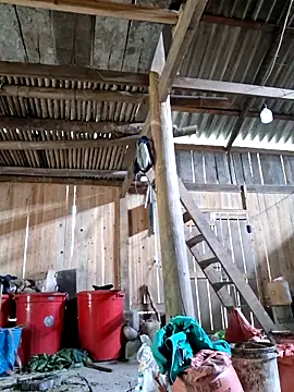 xuxulovezz online show from April 4, 4:41 am