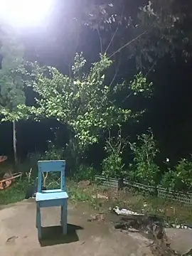 Helen-Tran online show from November 11, 12:55 pm