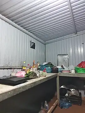 Helen-Tran online show from November 28, 12:05 pm